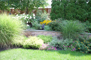 a fully landscaped backyard courtesy of Antelope Sprinkler Repair